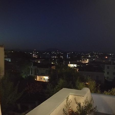 Villa Metaxa Spetses Town Luaran gambar