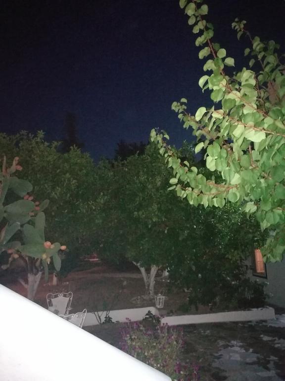 Villa Metaxa Spetses Town Luaran gambar