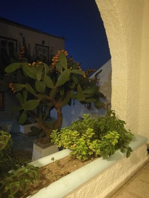Villa Metaxa Spetses Town Luaran gambar